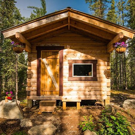 Blackburn Cabins - Mccarthy, Alaska Buitenkant foto