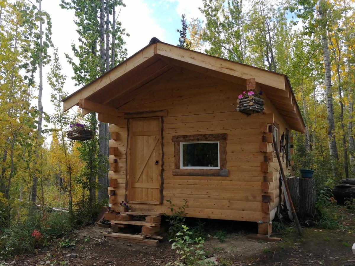 Blackburn Cabins - Mccarthy, Alaska Buitenkant foto