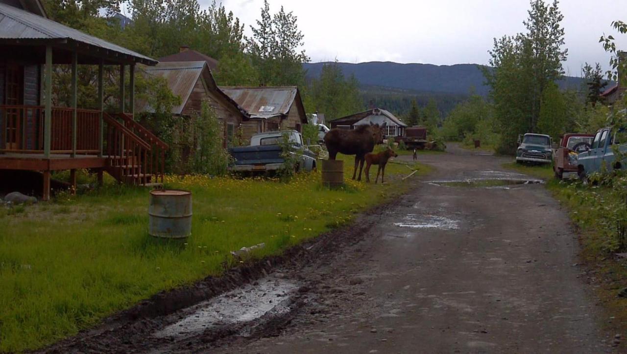 Blackburn Cabins - Mccarthy, Alaska Buitenkant foto