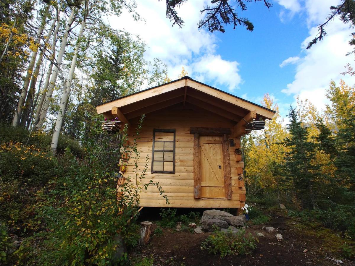 Blackburn Cabins - Mccarthy, Alaska Buitenkant foto