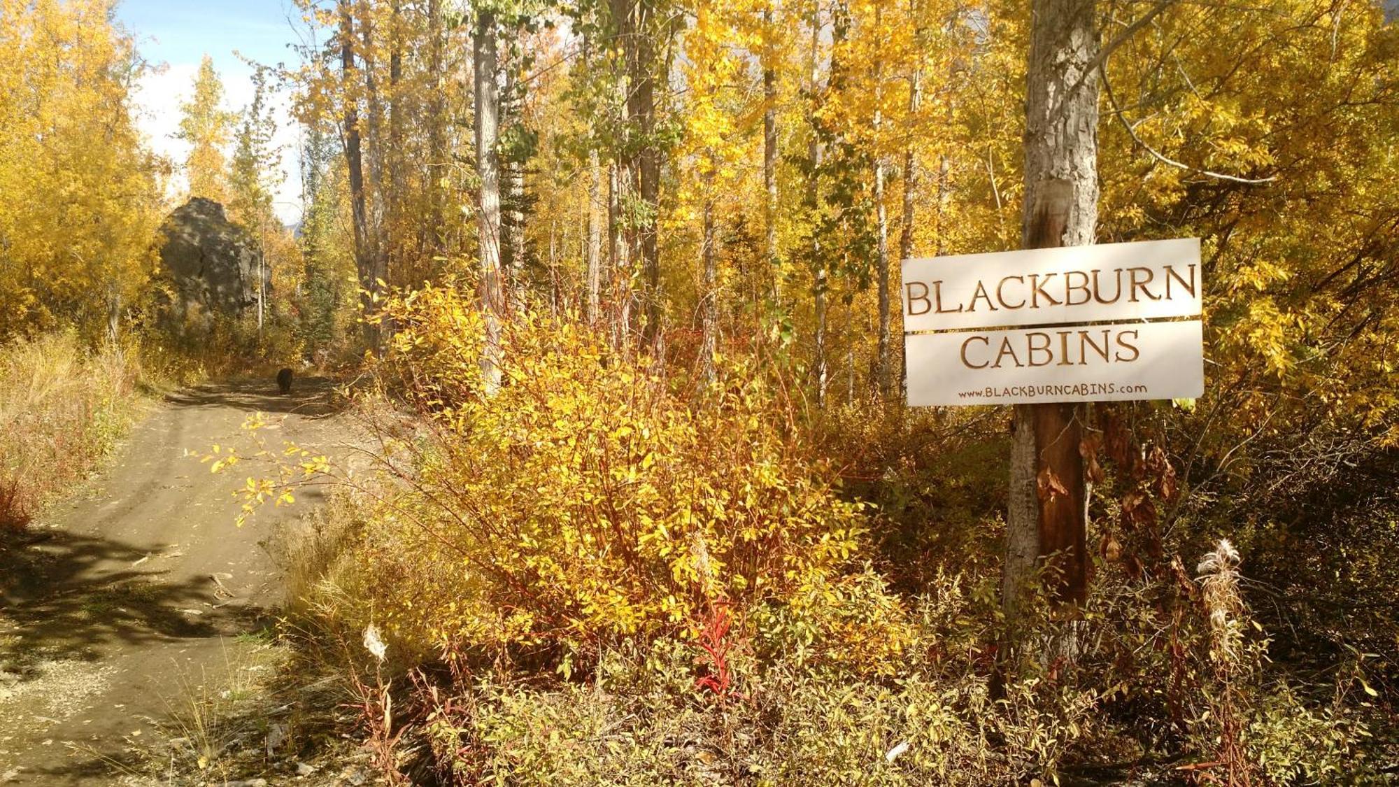 Blackburn Cabins - Mccarthy, Alaska Buitenkant foto
