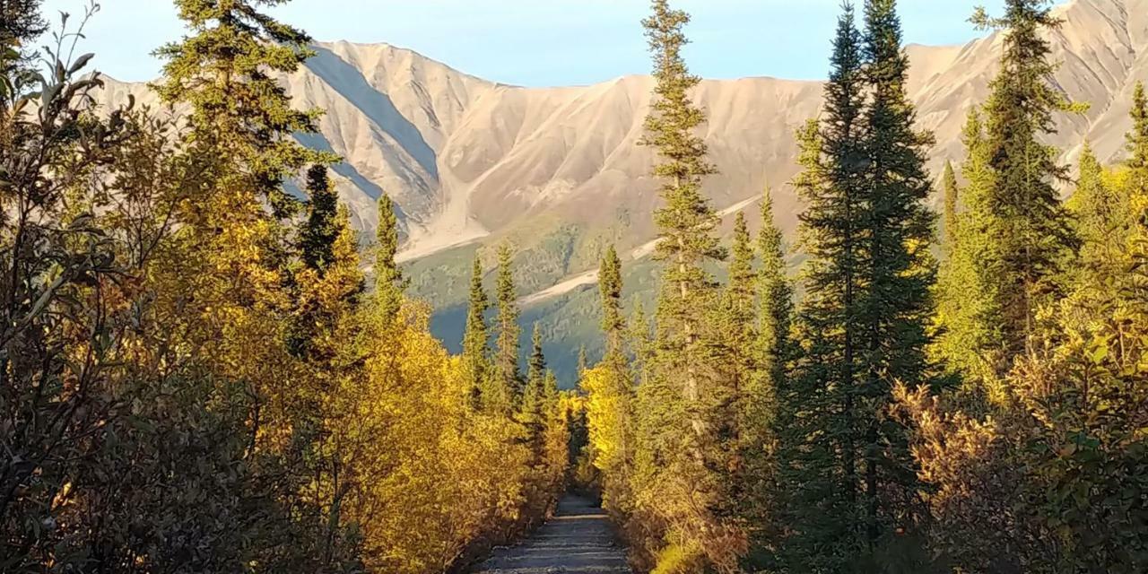 Blackburn Cabins - Mccarthy, Alaska Buitenkant foto